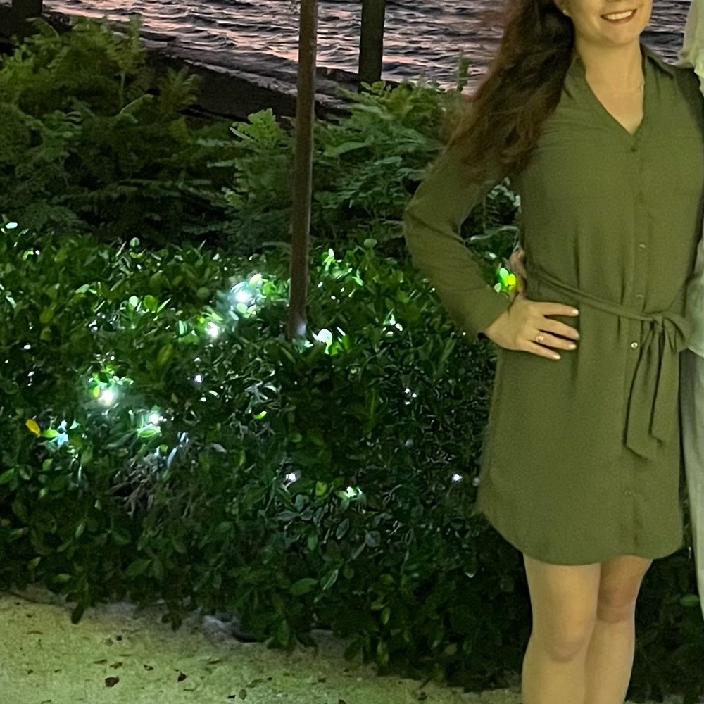 Express Business Casual Dress